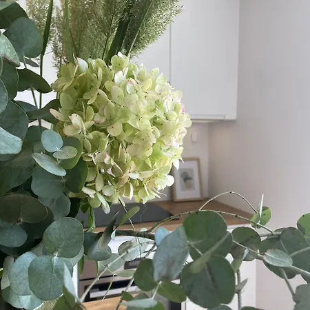 Le Jardin D'aimee By La Boite En شقة Villers-Saint-Frambourg